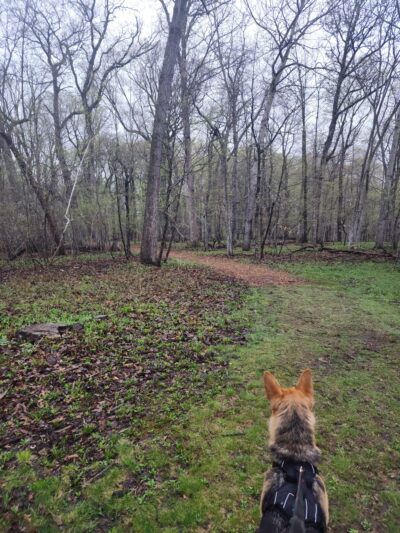 Bluff Park - North Mankato, MN