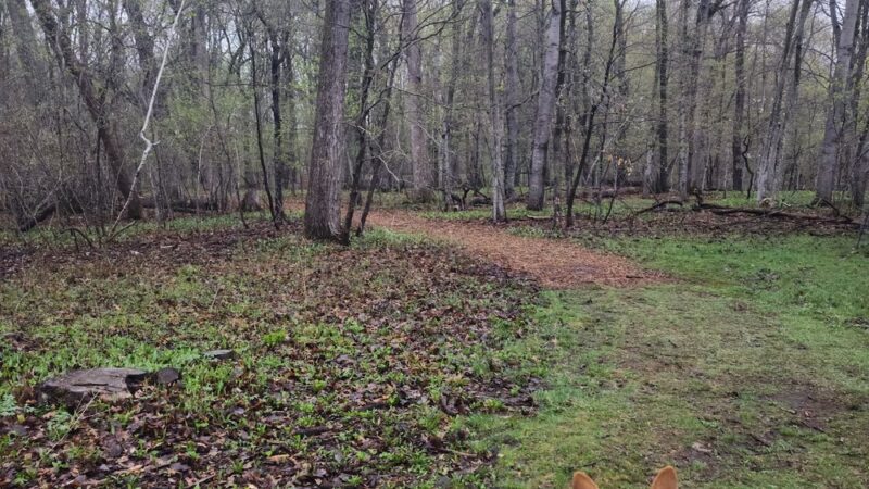 Bluff Park - North Mankato, MN