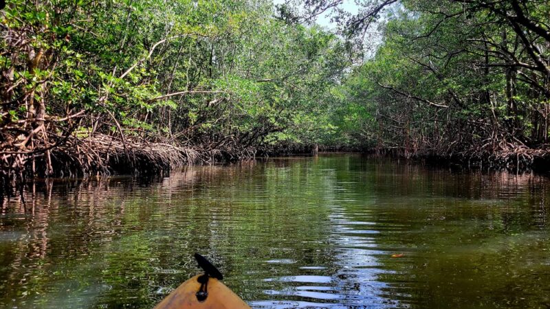 Oleta River State Park - North Miami Beach, FL