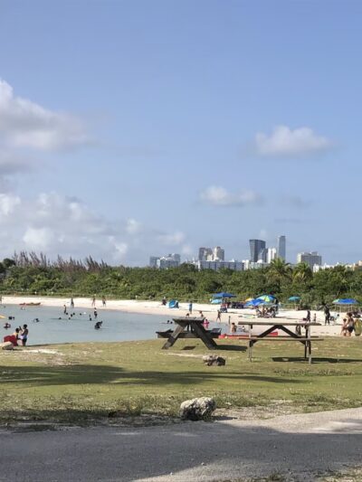 Oleta River State Park Alligator Pavilion - North Miami Beach, FL