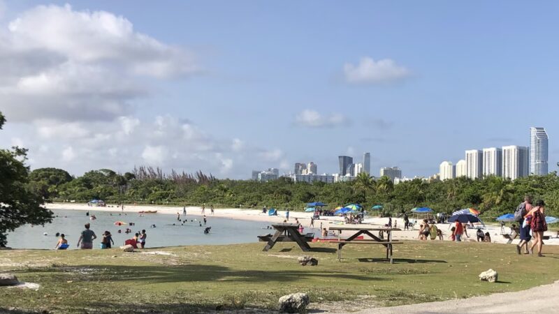 Oleta River State Park Alligator Pavilion - North Miami Beach, FL