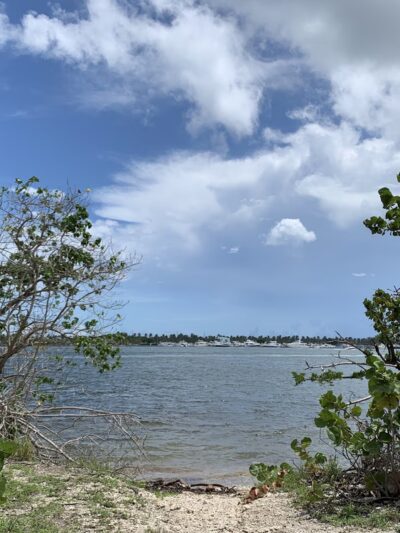 Oleta River State Park Alligator Pavilion - North Miami Beach, FL