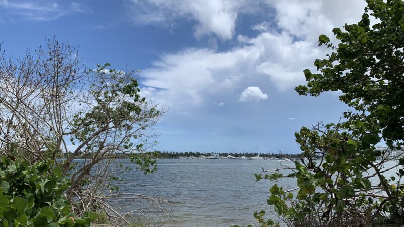 Oleta River State Park Alligator Pavilion - North Miami Beach, FL