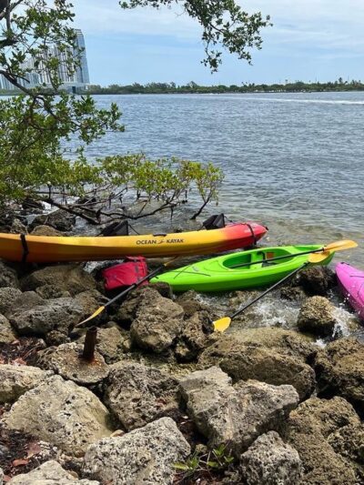 Oleta River State Park Alligator Pavilion - North Miami Beach, FL