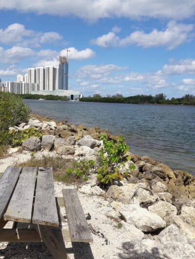 Oleta River State Park Alligator Pavilion - North Miami Beach, FL