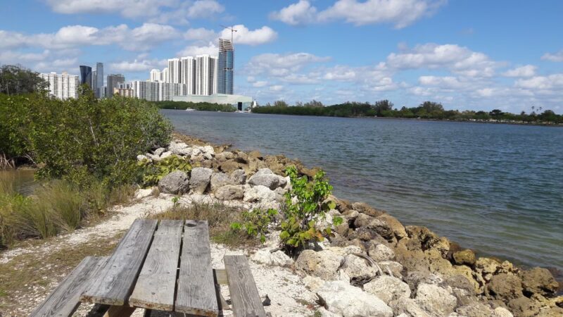 Oleta River State Park Alligator Pavilion - North Miami Beach, FL