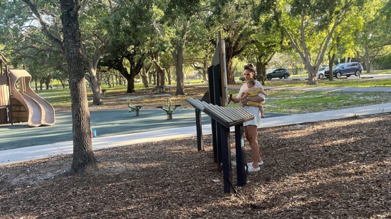 Playground Greynolds - North Miami Beach, FL