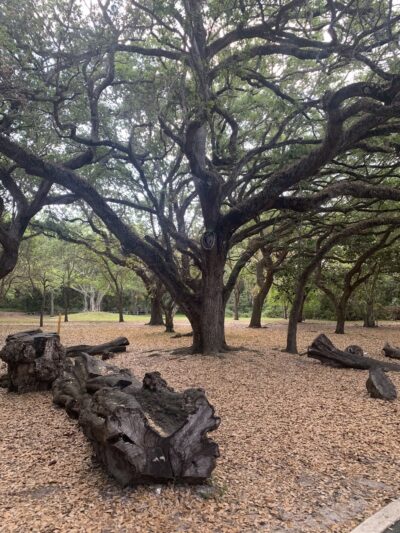 Playground Greynolds - North Miami Beach, FL