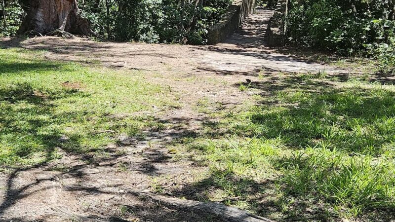 Playground Greynolds - North Miami Beach, FL