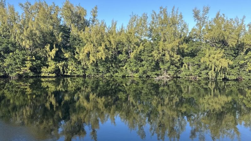 Playground Greynolds - North Miami Beach, FL