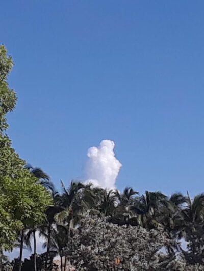 Oleander Park - North Miami, FL