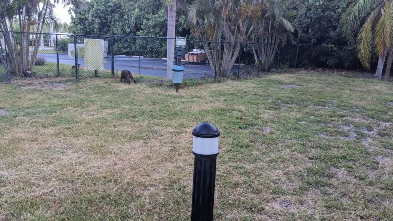 Toledo Club Paw Park - North Port, FL