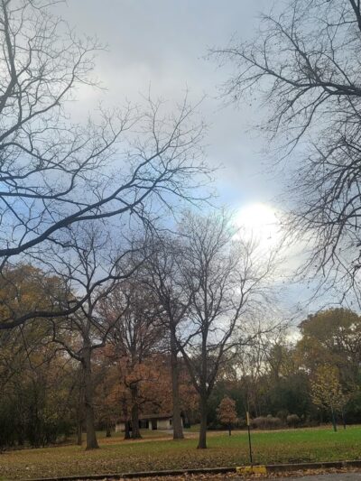 McCormick Woods - North Riverside, IL
