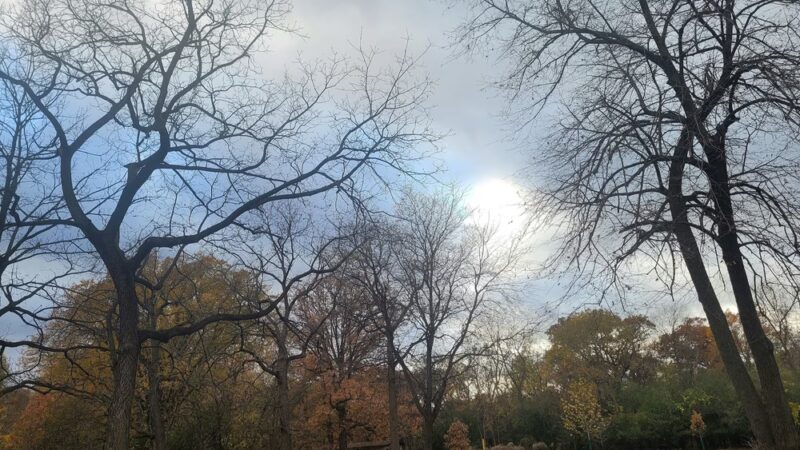 McCormick Woods - North Riverside, IL