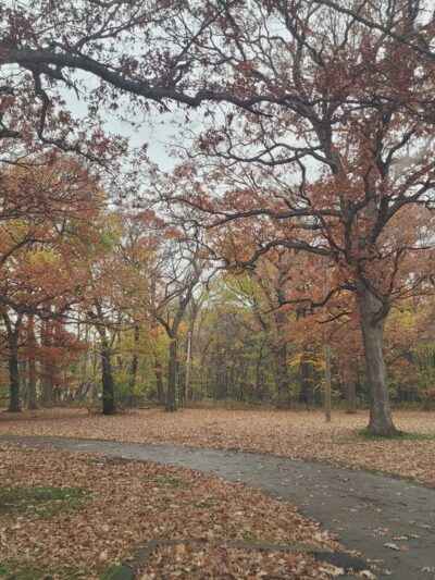 McCormick Woods - North Riverside, IL