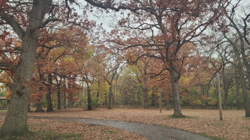 McCormick Woods - North Riverside, IL