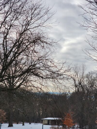 McCormick Woods - North Riverside, IL