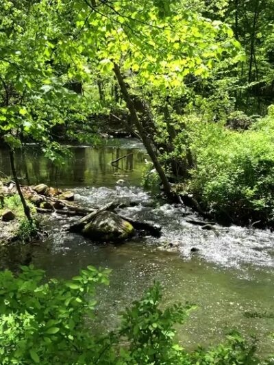 Purdy's Field - North Salem, NY