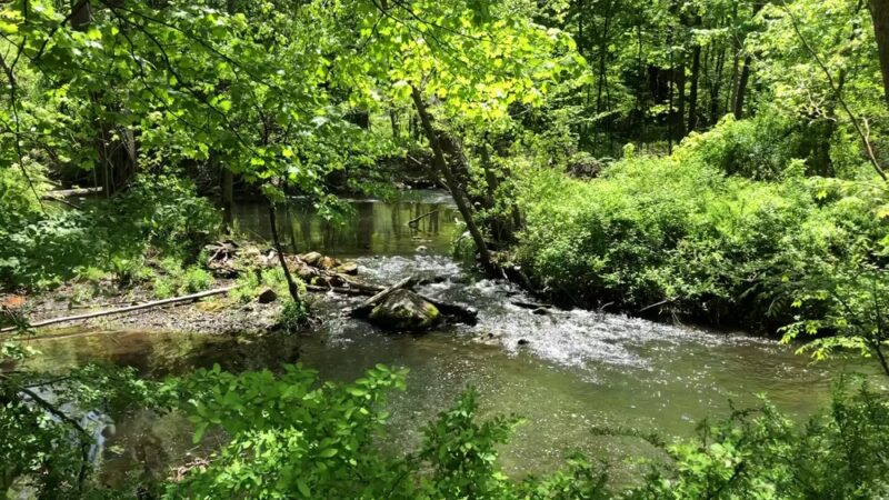 Purdy's Field - North Salem, NY