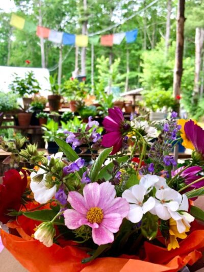 Skydog Farm - North Scituate, RI