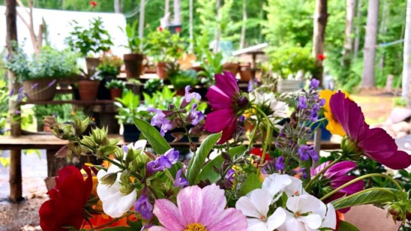 Skydog Farm - North Scituate, RI