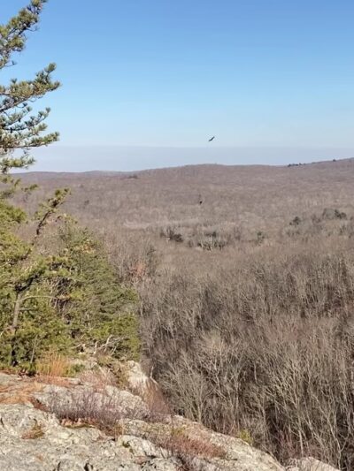 Lantern Hill Trail - North Stonington, CT