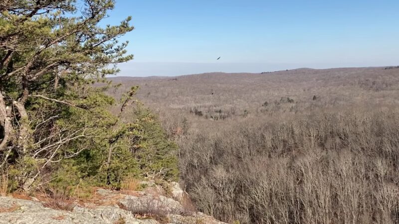 Lantern Hill Trail - North Stonington, CT