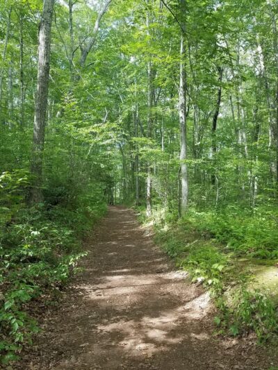 Lantern Hill Trail - North Stonington, CT