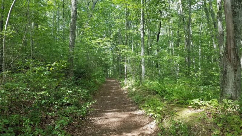 Lantern Hill Trail - North Stonington, CT