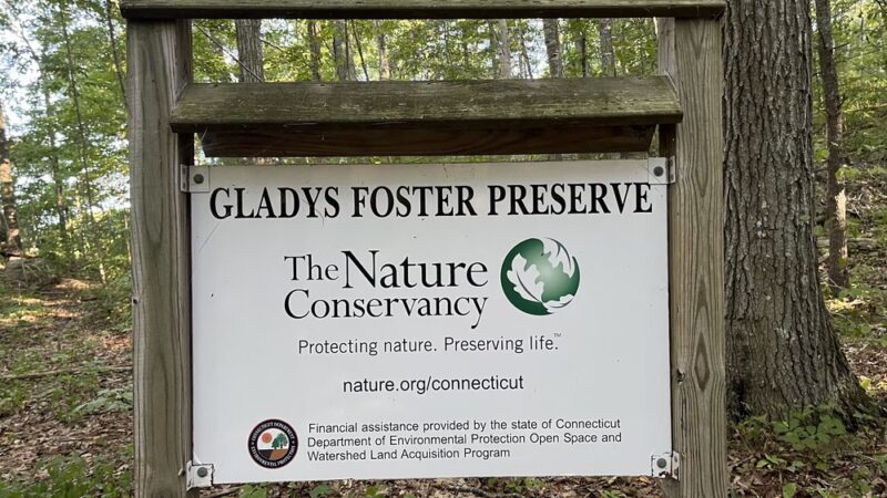 Nature Conservancy Gladys Foster Preserve Trailhead - North Stonington, CT