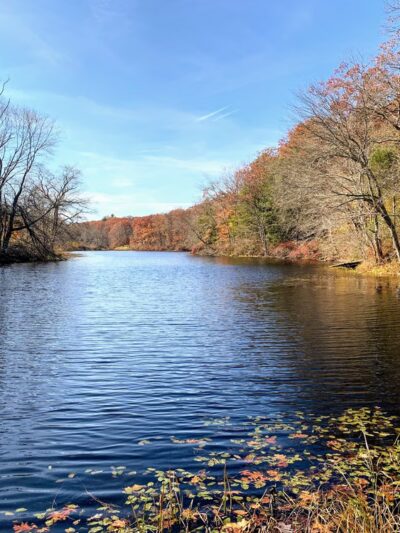 Yannatos Preserve - North Stonington, CT
