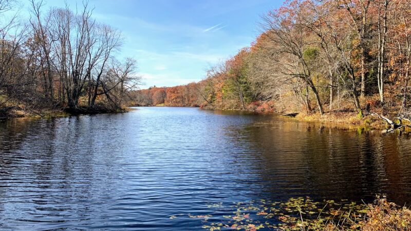 Yannatos Preserve - North Stonington, CT