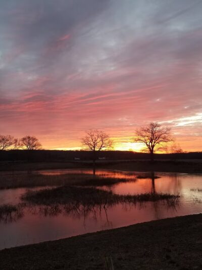 Yannatos Preserve - North Stonington, CT