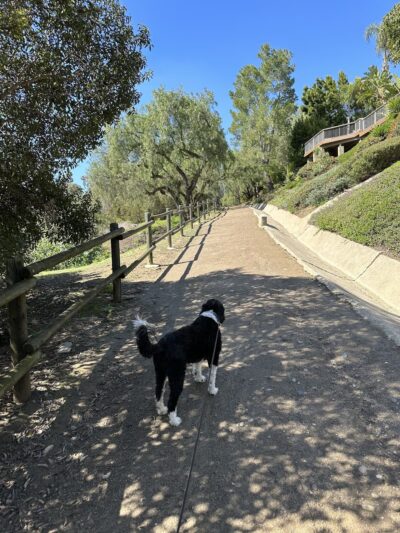 Park - North Tustin, CA