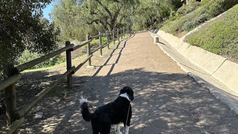 Park - North Tustin, CA