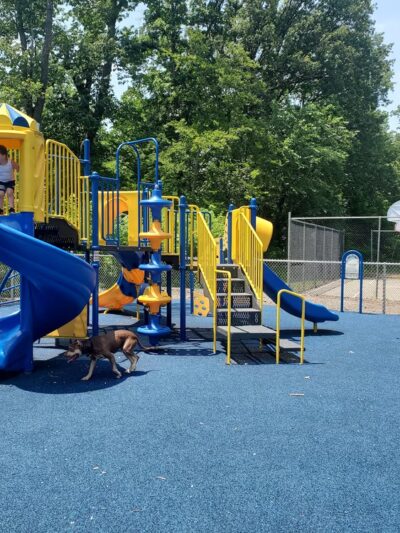 Fairhaven Park - North Versailles Township, PA