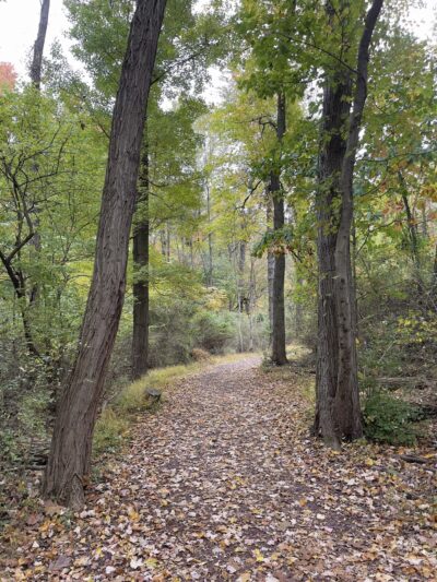 Spring Valley Park - North Wales, PA