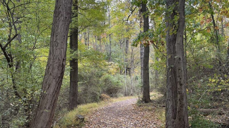 Spring Valley Park - North Wales, PA