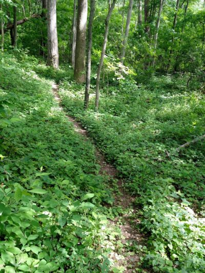Welah Metekkah Nature Trail - North Webster, IN