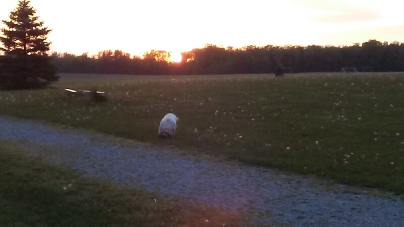Welah Metekkah Nature Trail - North Webster, IN