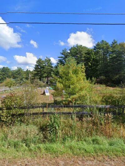 Tree Frog Farm Dog Training - North Yarmouth, ME