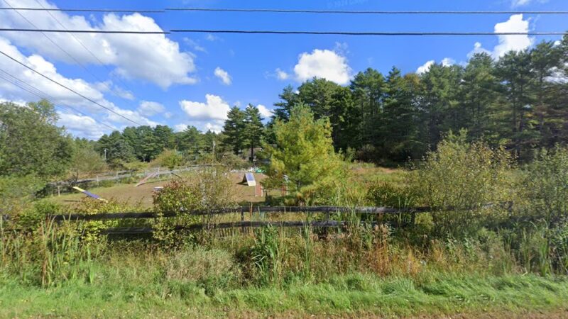 Tree Frog Farm Dog Training - North Yarmouth, ME