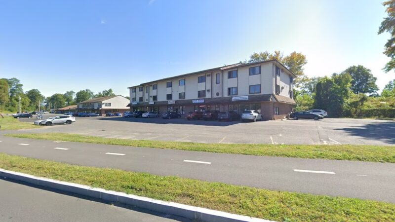 Animal Alliances, LLC - Northampton, MA