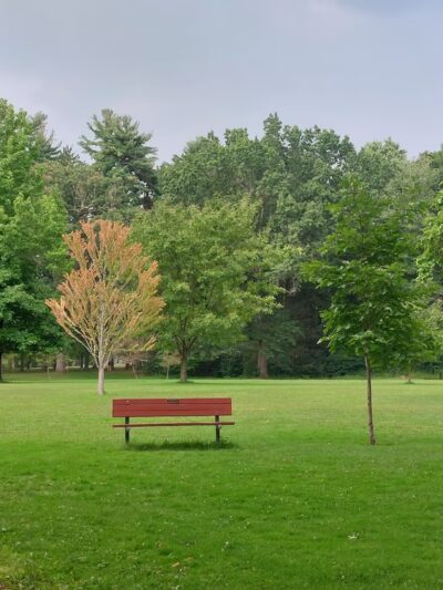 Childs Park - Northampton, MA