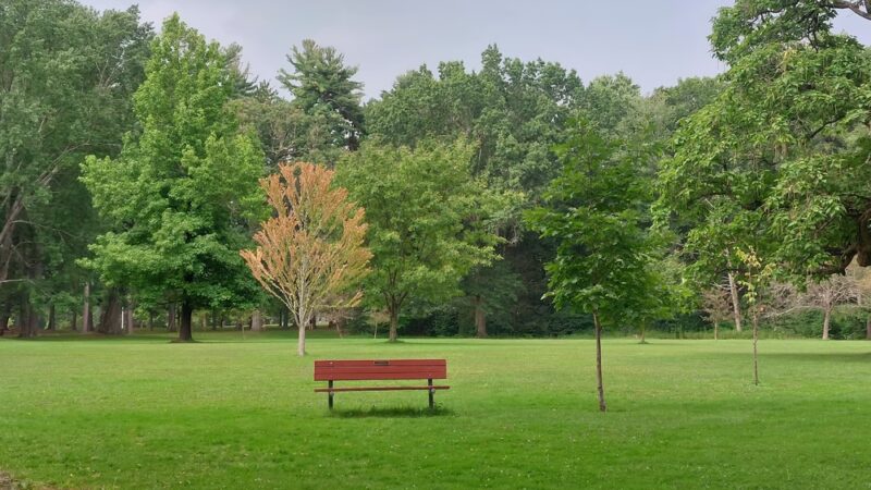 Childs Park - Northampton, MA