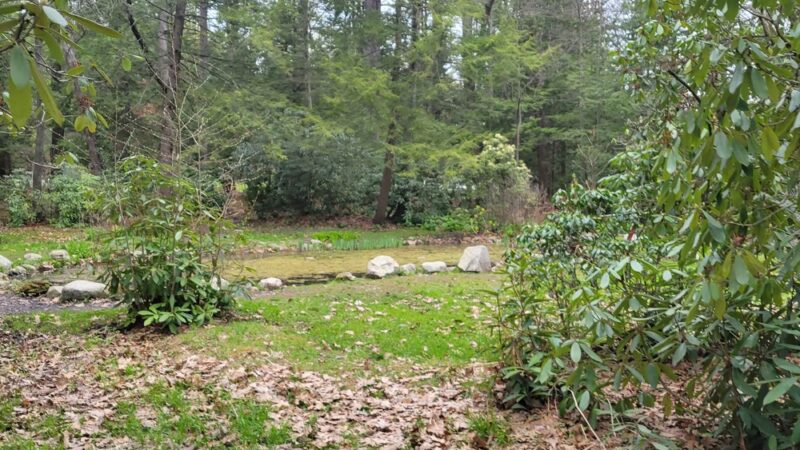 Childs Park - Northampton, MA