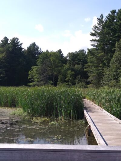 Fitzgerald Lake Conservation Area - Northampton, MA