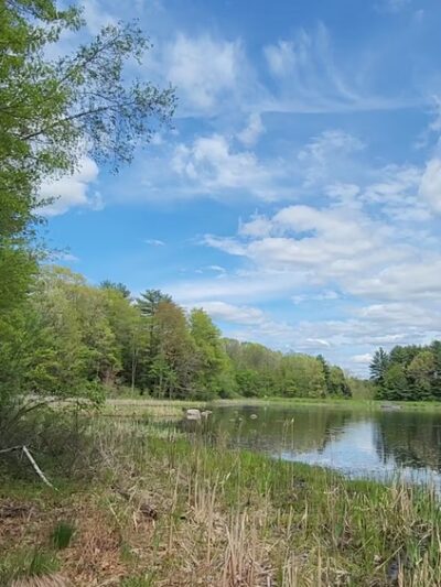 Fitzgerald Lake Conservation Area - Northampton, MA