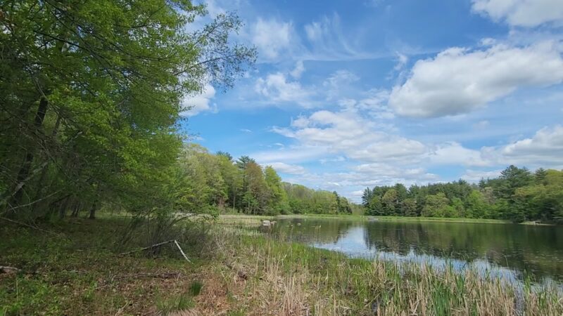 Fitzgerald Lake Conservation Area - Northampton, MA