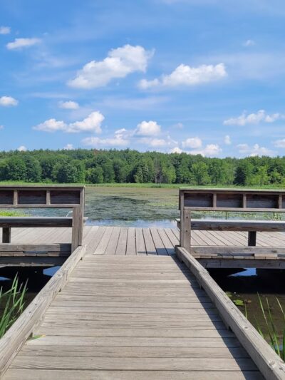 Fitzgerald Lake Conservation Area - Northampton, MA